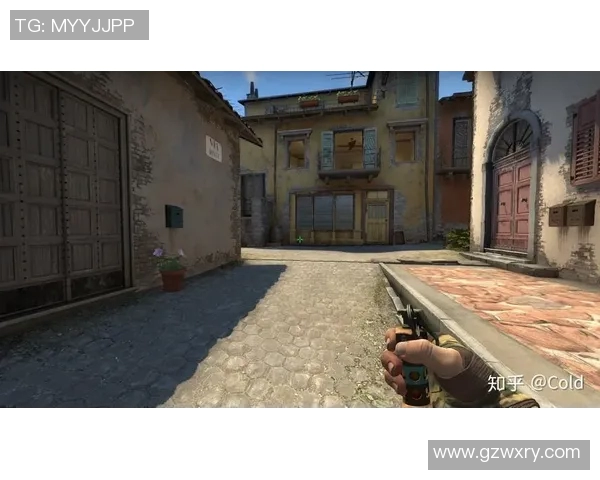 深入分析CSGOEDG团队配合策略与战术执行的成功之道