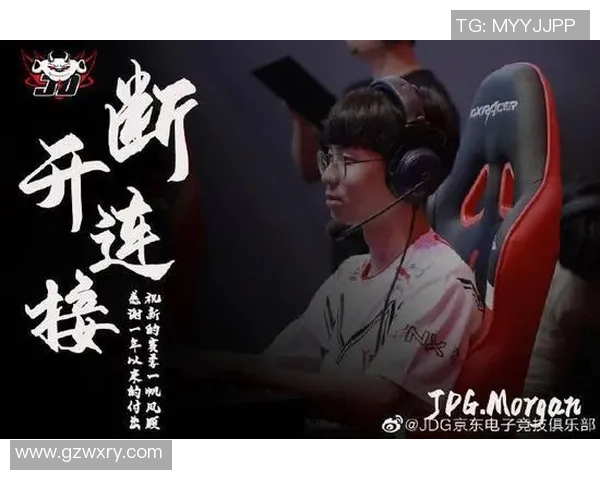 深入分析JDG战队反击打法的策略与执行细节
