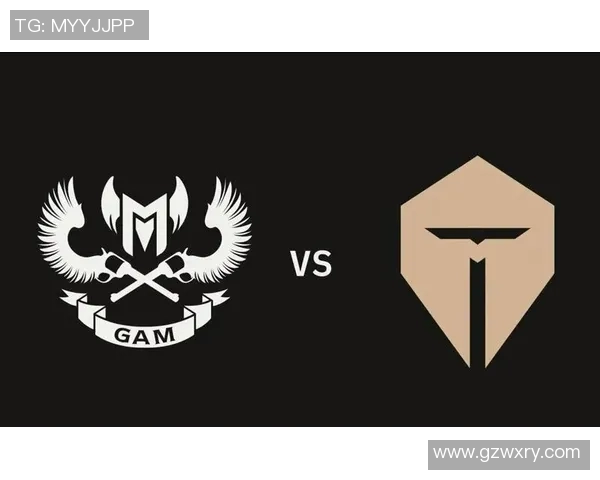 TES在S15LOL世界冠军杯中的耐力表现深度解析与点评