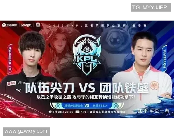 电竞数据热议王者荣耀TES战队快速变革背后的策略与挑战分析