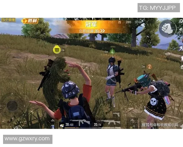 esports最新数据和平精英战术BLG反击体系的全面解析与实战应用探讨